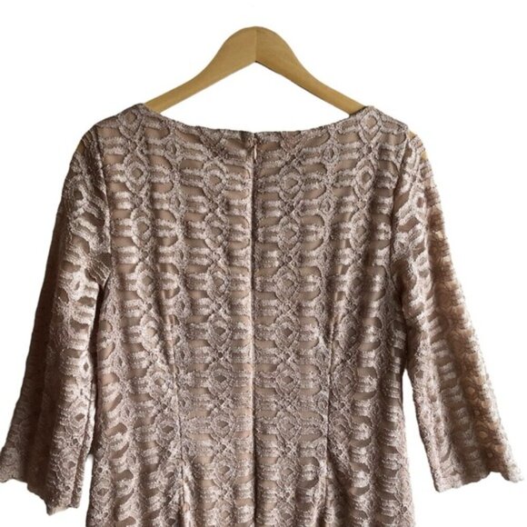 Eliza J Lace Dress Size 16 Champange - Picture 7 of 12